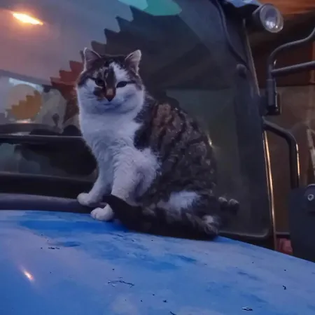 Waldacher Hof Appartement Waldachtal