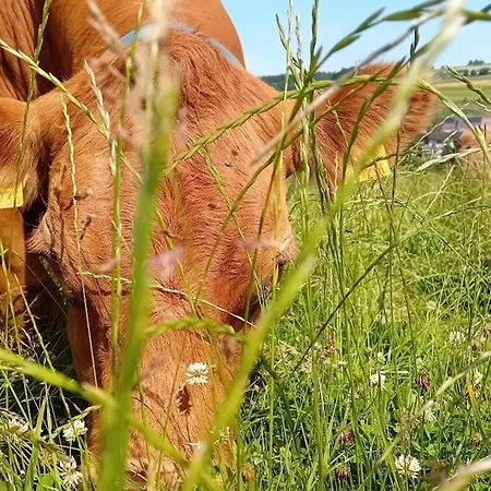 Waldacher Hof Waldachtal