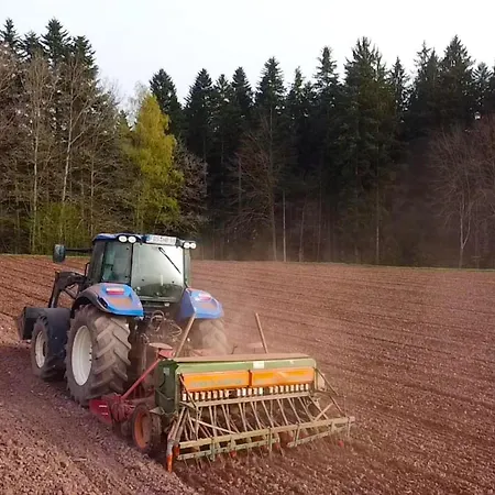 Waldacher Hof Apartment