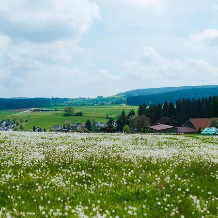 Waldacher Hof شقة والداختال
