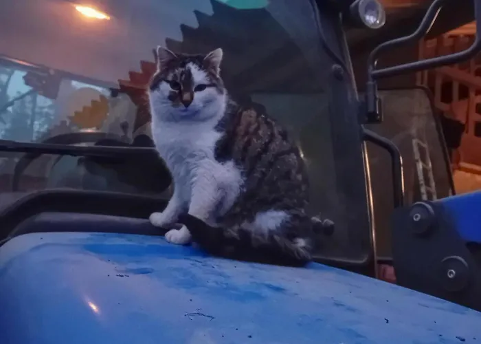 Waldacher Hof Apartman Waldachtal