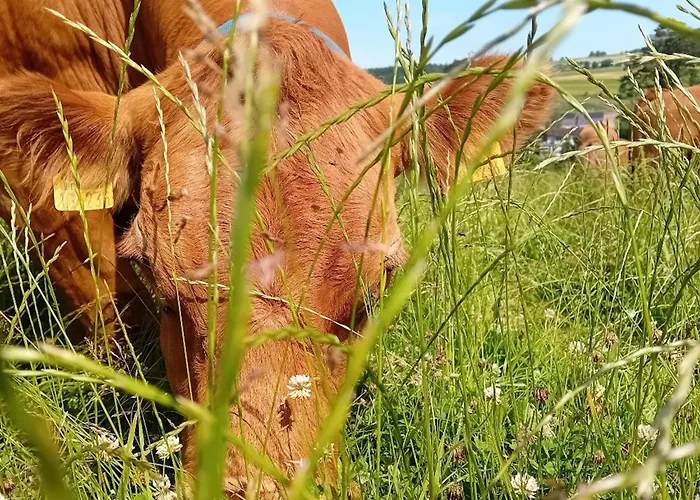 Waldacher Hof Waldachtal