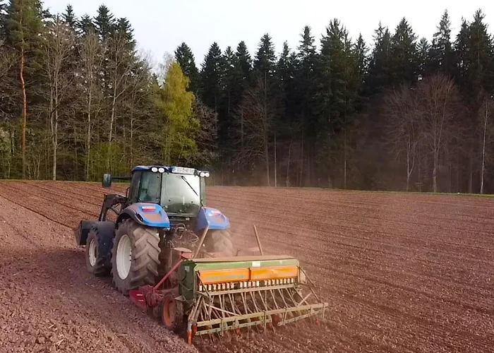 Waldacher Hof Apartman